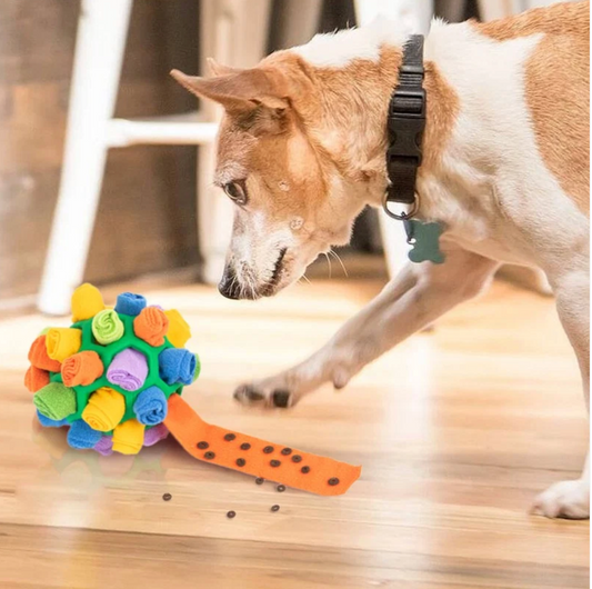 Turn Treat Time Into a Brain Game